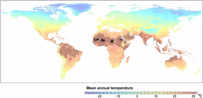 Klima Krise annual temperature