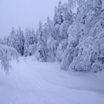 Extremwinter