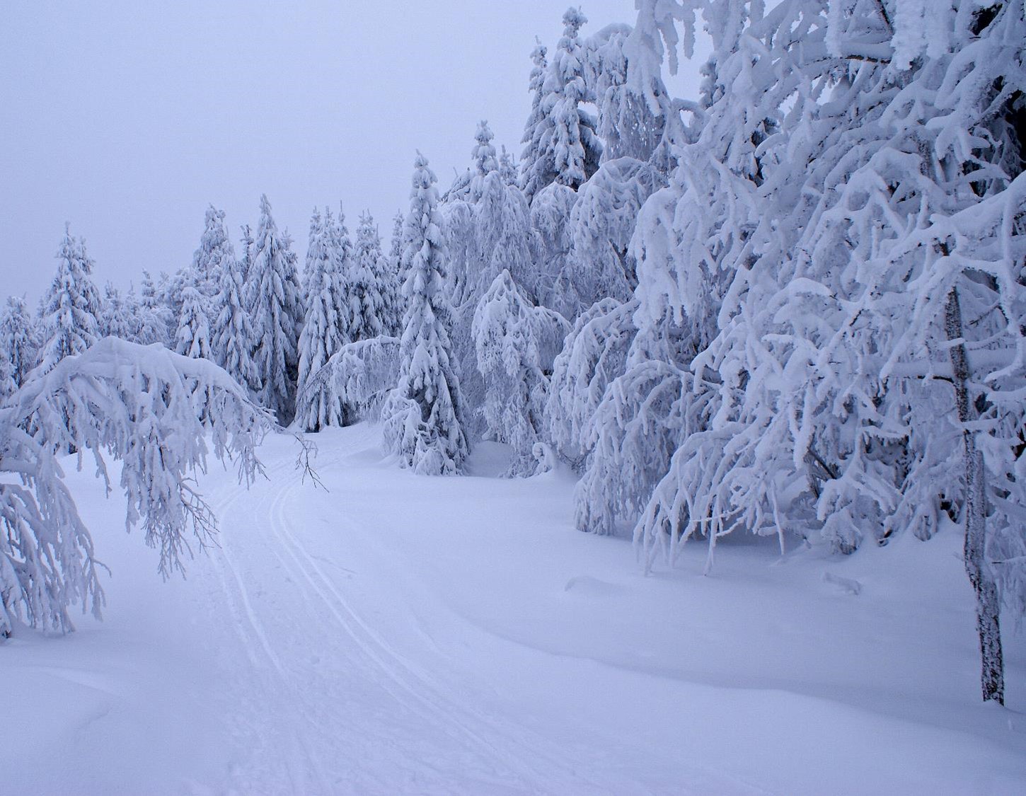 Extremwinter