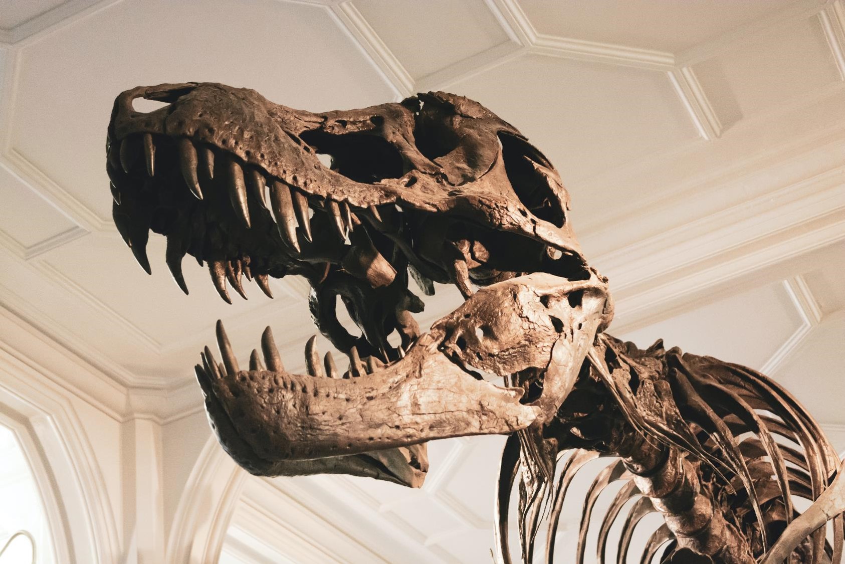 Dinosurier Klimaleugner