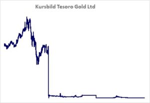 Kursicon