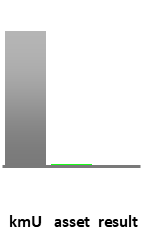 Das AssetRanking ist ein Vermögensvergleich mit einem durchschnittlichen KMU. Links der Assetvergleich, rechts das operative Ergebnis