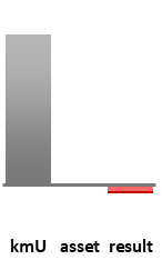 Das AssetRanking ist ein Vermögensvergleich mit einem durchschnittlichen KMU. Links der Assetvergleich, rechts das operative Ergebnis