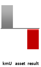 Das AssetRanking ist ein Vermögensvergleich mit einem durchschnittlichen KMU. Links der Assetvergleich, rechts das operative Ergebnis