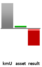 Das AssetRanking ist ein Vermögensvergleich mit einem durchschnittlichen KMU. Links der Assetvergleich, rechts das operative Ergebnis