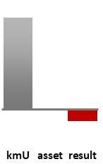 Das AssetRanking ist ein Vermögensvergleich mit einem durchschnittlichen KMU. Links der Assetvergleich, rechts das operative Ergebnis