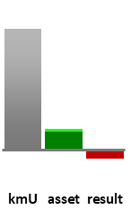 Das AssetRanking ist ein Vermögensvergleich mit einem durchschnittlichen KMU. Links der Assetvergleich, rechts das operative Ergebnis