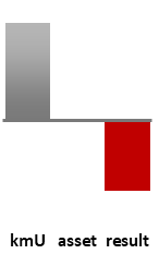 Das AssetRanking ist ein Vermögensvergleich mit einem durchschnittlichen KMU. Links der Assetvergleich, rechts das operative Ergebnis