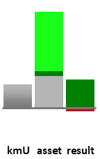 Das AssetRanking ist ein Vermögensvergleich mit einem durchschnittlichen KMU. Links der Assetvergleich, rechts das operative Ergebnis