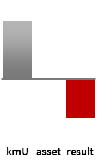 Das AssetRanking ist ein Vermögensvergleich mit einem durchschnittlichen KMU. Links der Assetvergleich, rechts das operative Ergebnis