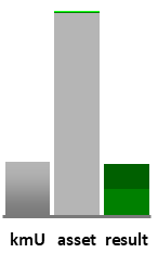 Das AssetRanking ist ein Vermögensvergleich mit einem durchschnittlichen KMU. Links der Assetvergleich, rechts das operative Ergebnis