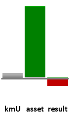 Das AssetRanking ist ein Vermögensvergleich mit einem durchschnittlichen KMU. Links der Assetvergleich, rechts das operative Ergebnis