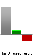 Das AssetRanking ist ein Vermögensvergleich mit einem durchschnittlichen KMU. Links der Assetvergleich, rechts das operative Ergebnis