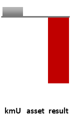 Das AssetRanking ist ein Vermögensvergleich mit einem durchschnittlichen KMU. Links der Assetvergleich, rechts das operative Ergebnis