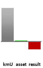 Das AssetRanking ist ein Vermögensvergleich mit einem durchschnittlichen KMU. Links der Assetvergleich, rechts das operative Ergebnis