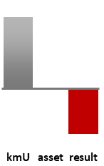 Das AssetRanking ist ein Vermögensvergleich mit einem durchschnittlichen KMU. Links der Assetvergleich, rechts das operative Ergebnis