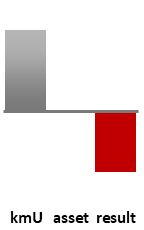 Das AssetRanking ist ein Vermögensvergleich mit einem durchschnittlichen KMU. Links der Assetvergleich, rechts das operative Ergebnis