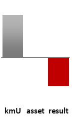 Das AssetRanking ist ein Vermögensvergleich mit einem durchschnittlichen KMU. Links der Assetvergleich, rechts das operative Ergebnis