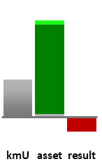 Das AssetRanking ist ein Vermögensvergleich mit einem durchschnittlichen KMU. Links der Assetvergleich, rechts das operative Ergebnis